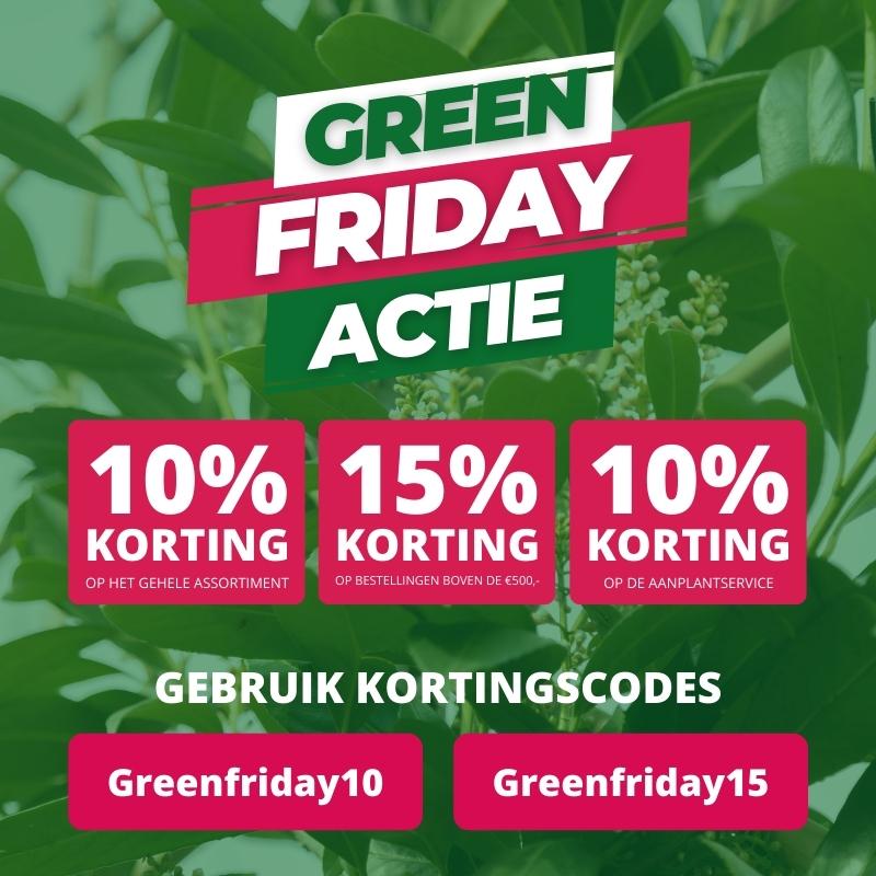 Green Friday actie