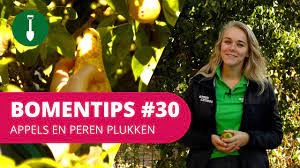 BOMENTIPS #30 | Appels en peren plukken