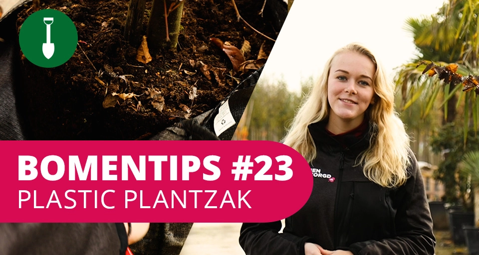 Bomentip #23 | Plastic plantzak