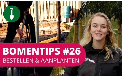 Bomentip #26 | Bestellen & aanplanten