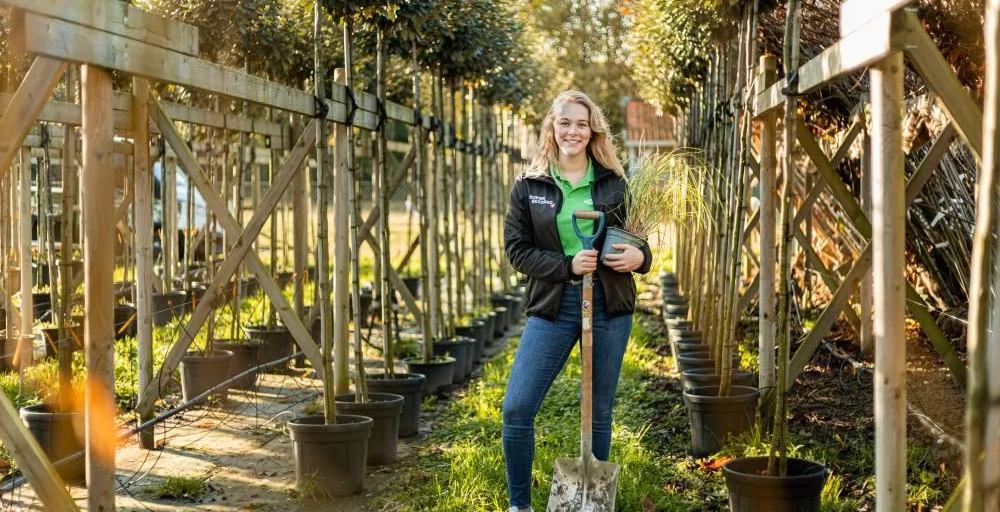 Bomen verplanten: waar moet je op letten?