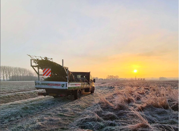 Onze bomen tijdens periodes van vorst