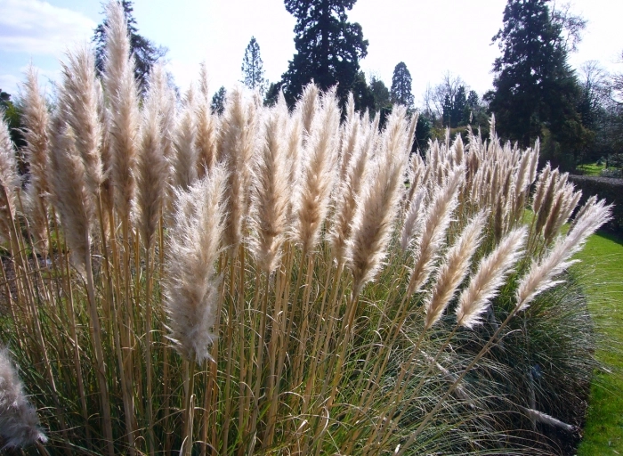 Maak de tuin klaar voor het voorjaar