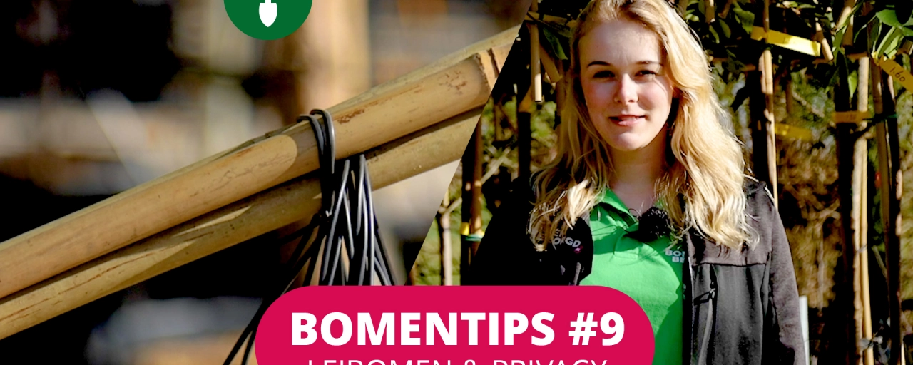 Bomentip #9 Leibomen en privacy