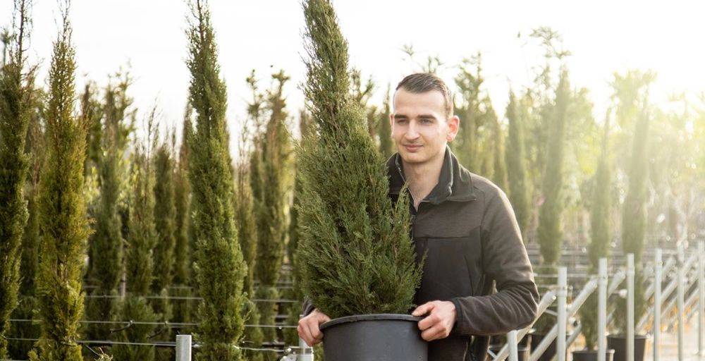 Hagen planten: mogelijkheden en tips