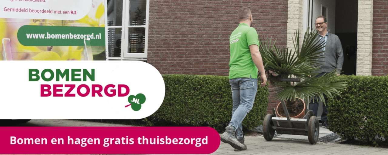 Boomsoorten: welke soort bomen kun je in je tuin zetten?