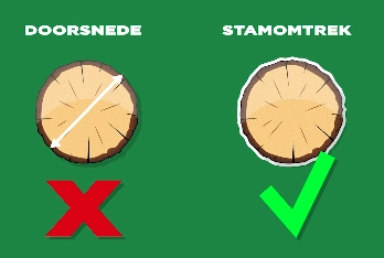 Bomentip #2 De stamomtrek