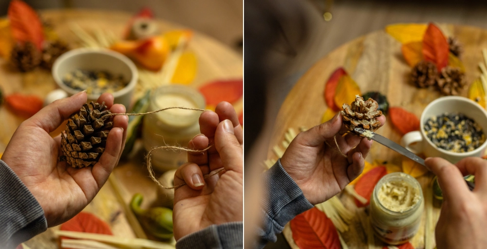 Zelf vetbolletjes maken voor vogels