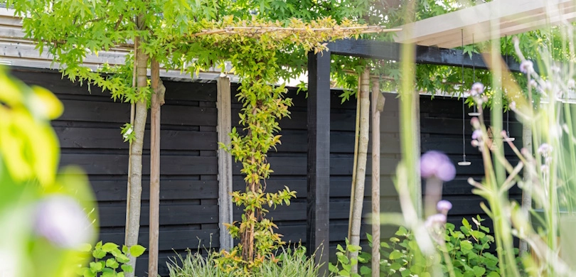 Tuinkalender juli: water geven, zomersnoei en andere belangrijke tuinklussen