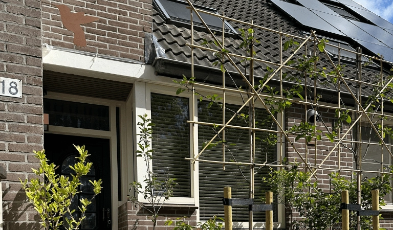 De beste leibomen voor in je voortuin