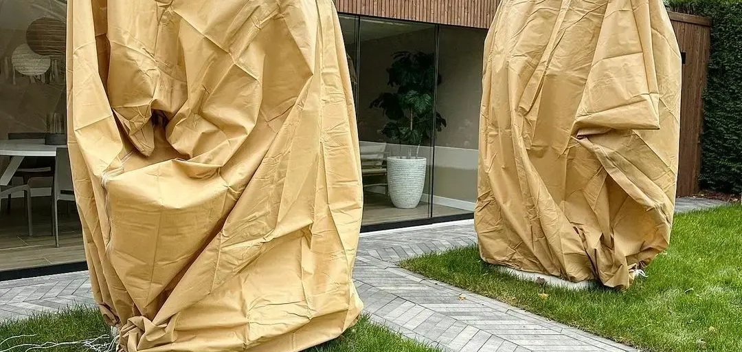 De winter staat voor de deur: wat betekent dit voor de bomen in je tuin?