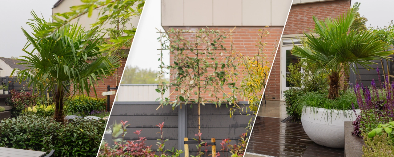 Tropische tuin | De Grote Tuinverbouwing Afl. 11