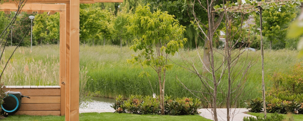 Moderne, natuurlijke tuin | Buitengewoon Wonen S2 afl. 6
