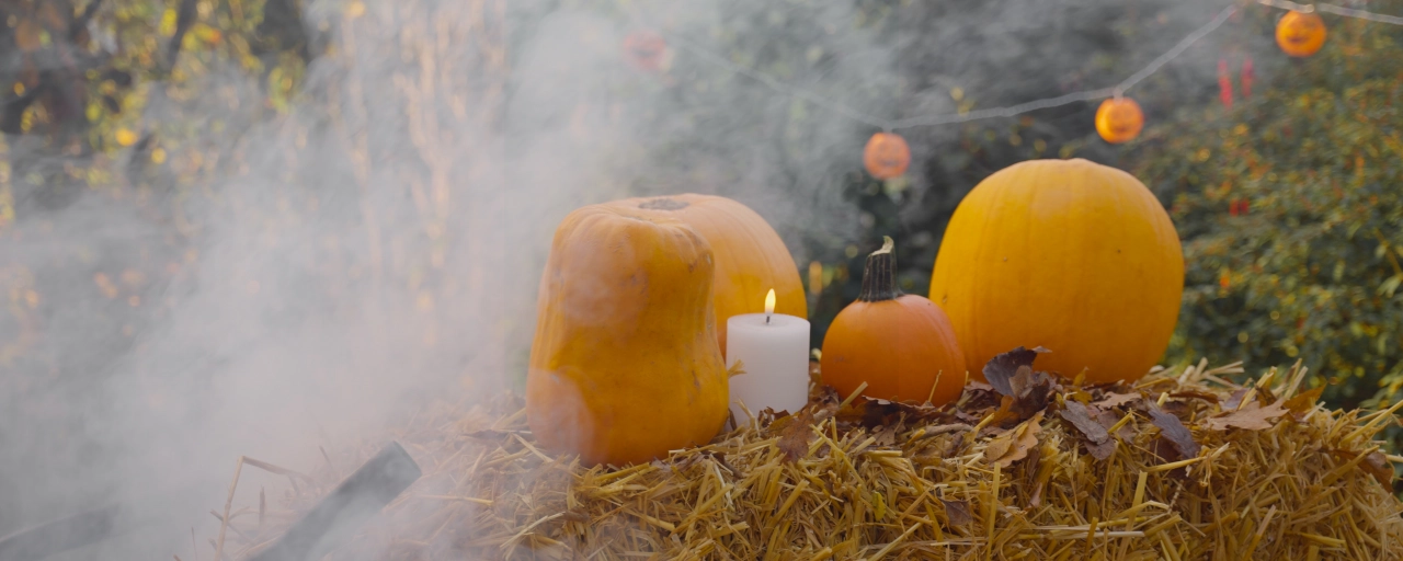 Halloween tuin