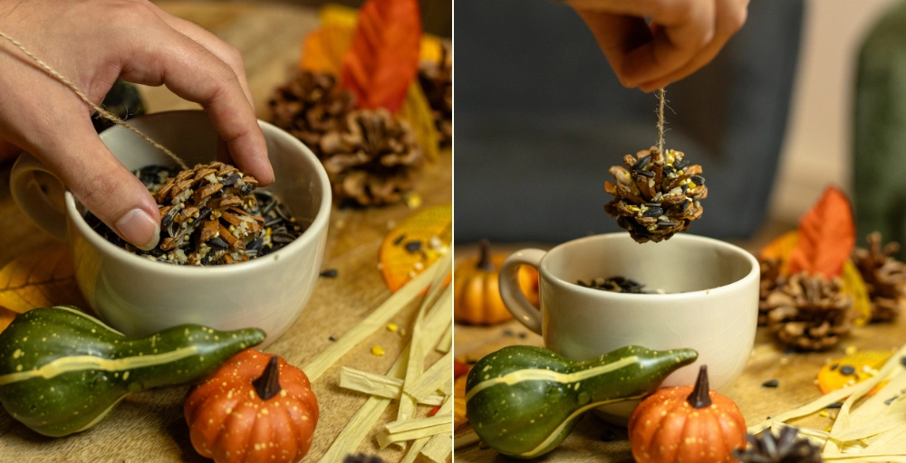 Zelf vetbolletjes maken voor vogels