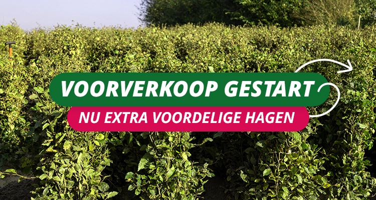 Voorverkoop