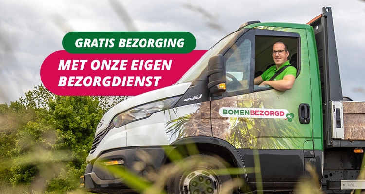 Gratis bezorging