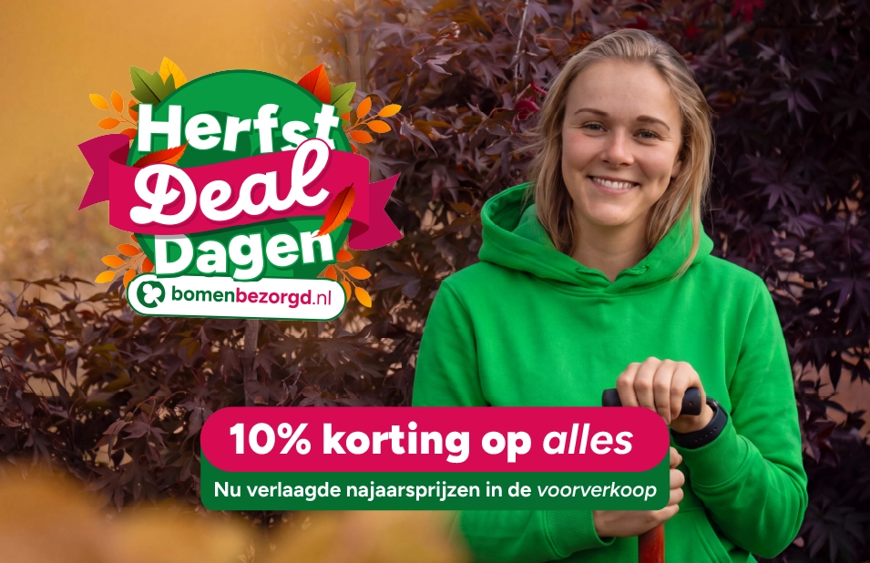 home-banner
