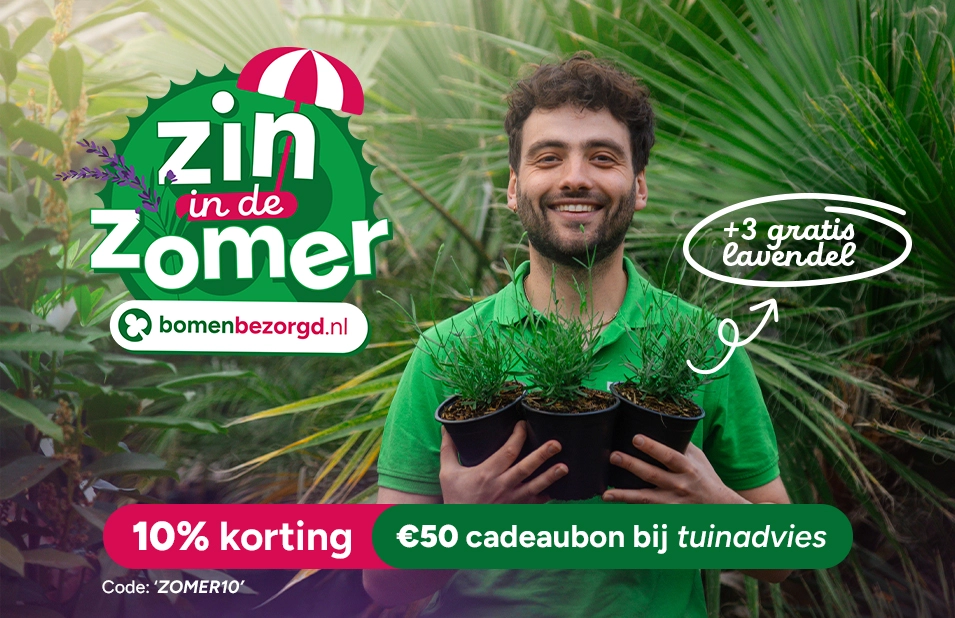 home-banner