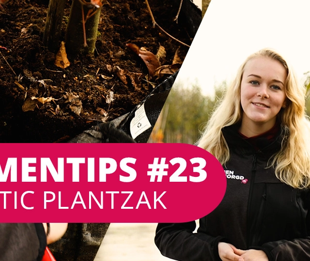 Bomentip #23 | Plastic plantzak