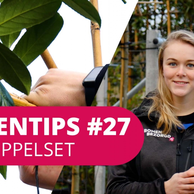 Bomentip #27 | Aankoppelset