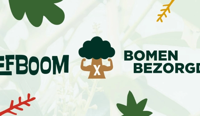 Samen voor meer groen: Bomenbezorgd en Lefboom vergroenen de buurt