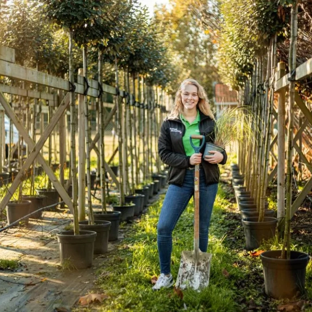 Bomen verplanten: waar moet je op letten?