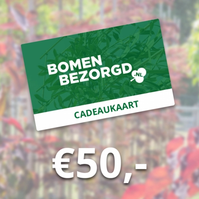 Cadeaukaart €50,-