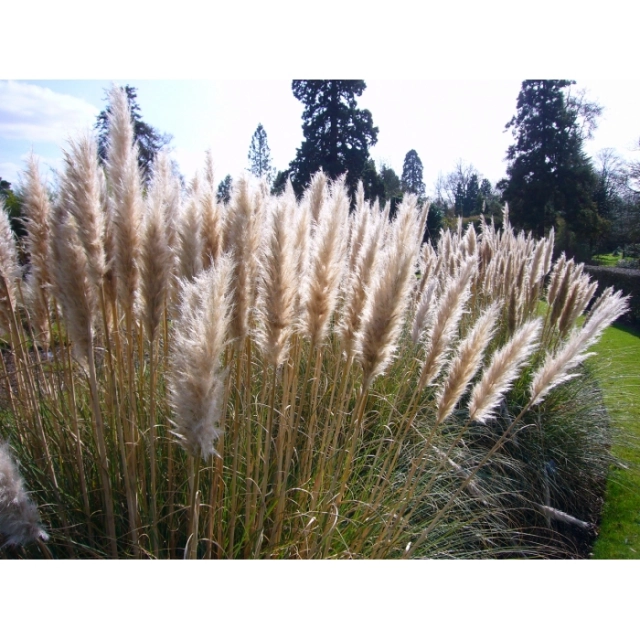 Maak de tuin klaar voor het voorjaar