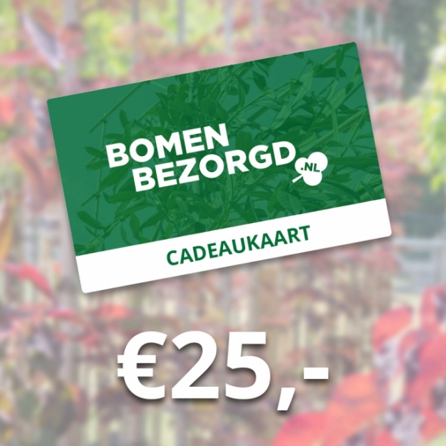 Cadeaukaart €25,-