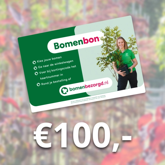 Bomenbon €100,-