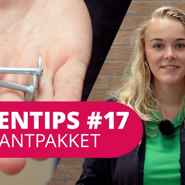 Bomentip #17 Aanplantpakket