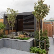 Bol Photinia