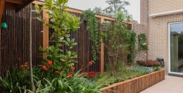 Wintergroene tuin | De Grote Tuinverbouwing afl. 10