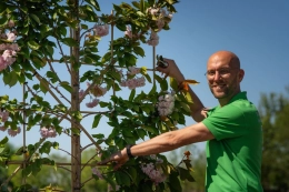 Bekijk alle producten binnen Leibomen