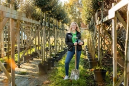 Bomen verplanten: waar moet je op letten?