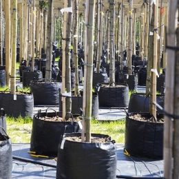 Uitleg over verschillende soorten kluiten