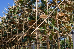 Bekijk alle producten binnen Leibomen