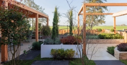 Italiaanse cipres snoeien: zo houd je hem strak en gezond