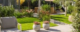 De 3 tuintrends van 2025: welke boom past bij jouw stijl?