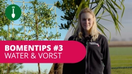 Bomentip #3 Water en Vorst