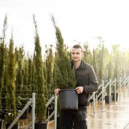 Hagen planten: mogelijkheden en tips