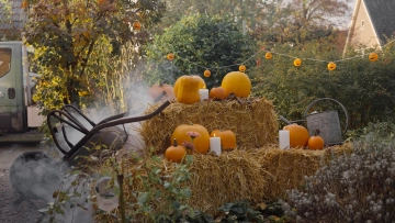 Halloween tuin