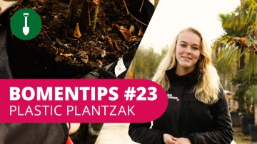 Bomentip #23 | Plastic plantzak