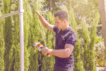 Bomen snoeien: waarom, wanneer en hoe?