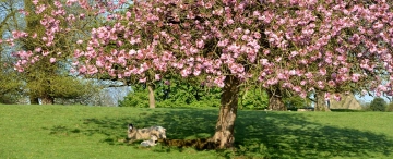 Tui﻿nkale﻿nder maart: dit moet je deze maand doen