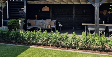 Voordelen en nadelen van de Portugese laurier