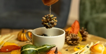 Zelf vetbolletjes maken voor vogels