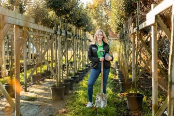 Bomen verplanten: waar moet je op letten?