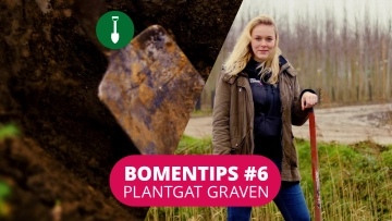 Bomentip #6 Plantgat graven